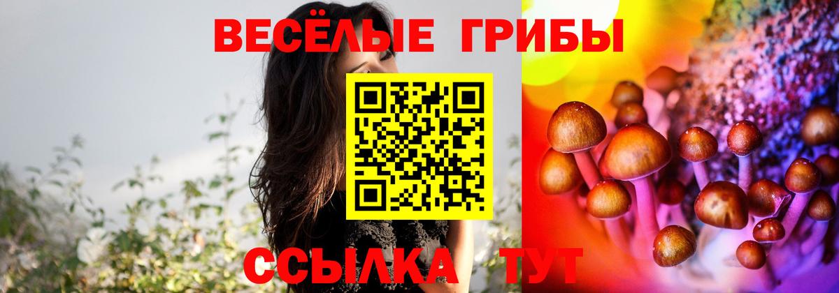 цены наркотик  Псилоцибиновые грибы Psilocybine cubensis  Вход с VPN  Галлюциногенные грибы Psilocybe  Альметьевск 